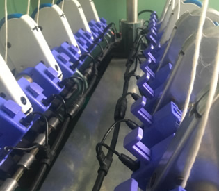 Photoelectric spandex detection system