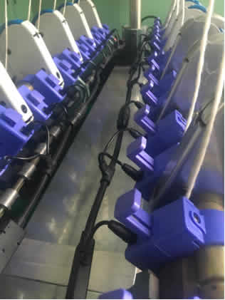 ����Ҫ��